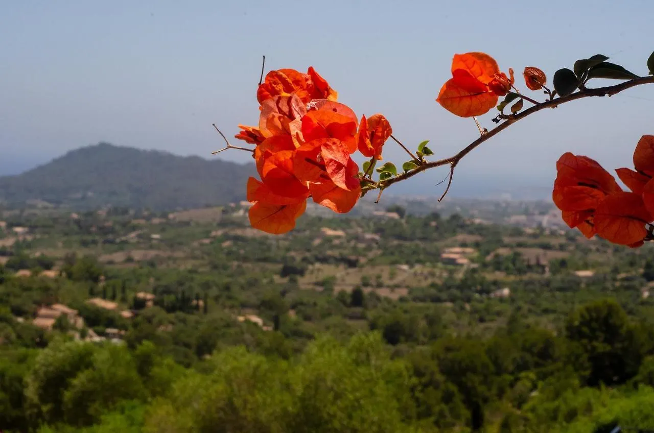 Holiday home El Cel Villa Son Servera