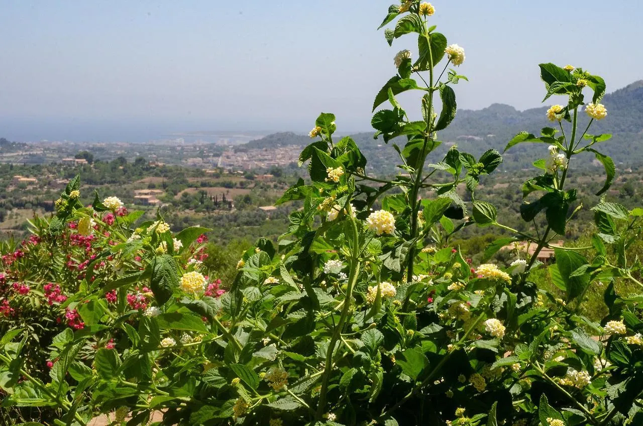 El Cel Villa Son Servera  Holiday home